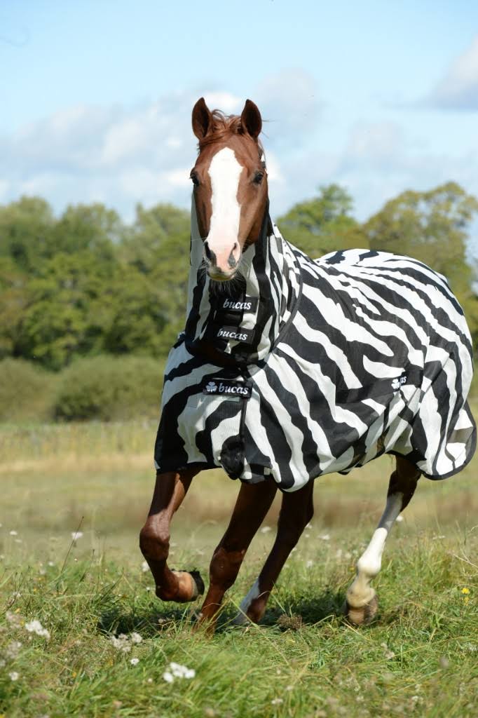 Zebra Full Neck P450981