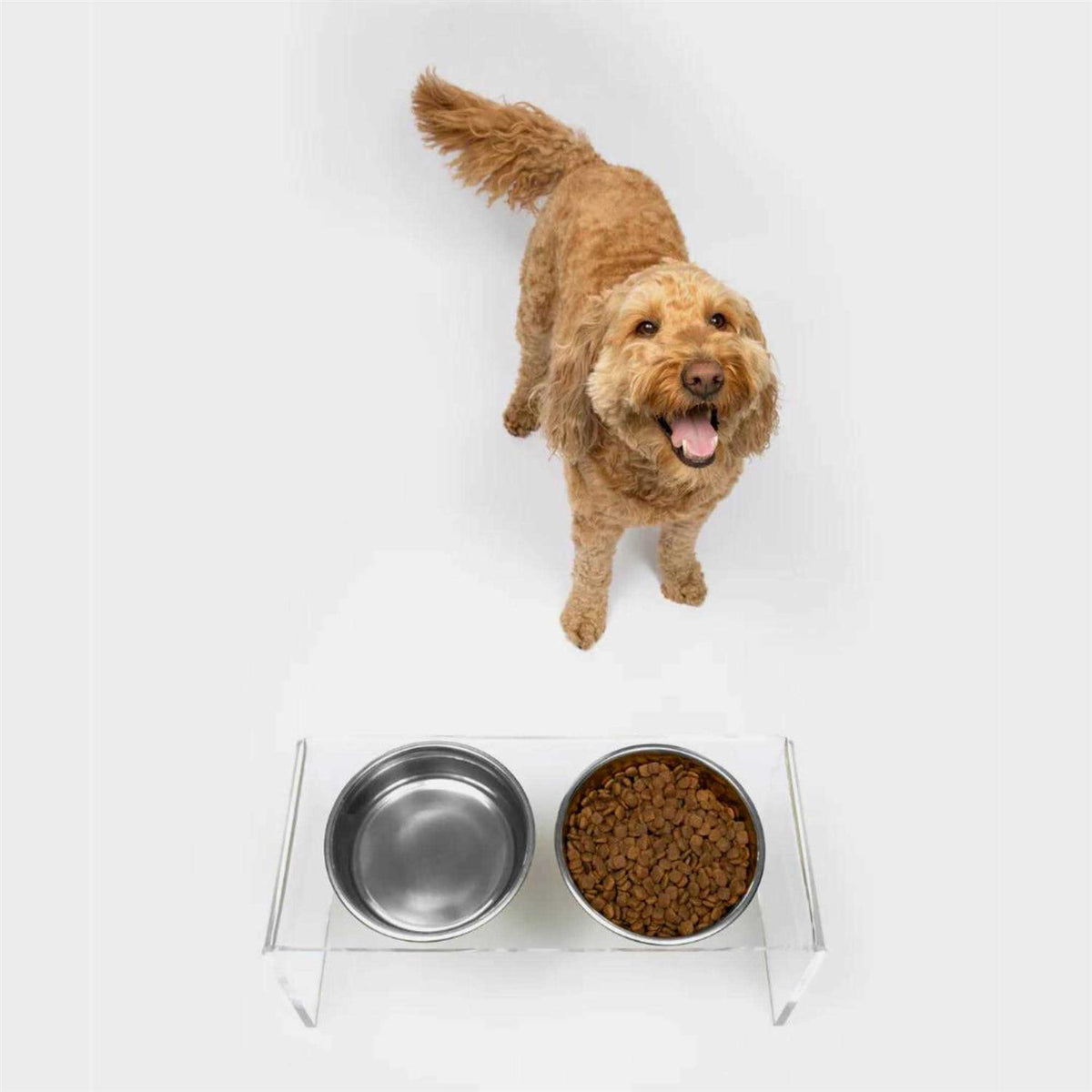 Clear Double Bowl Pet Feeder N268933