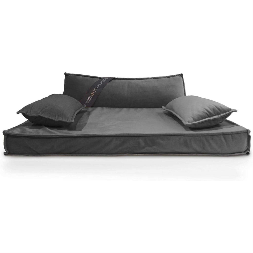 Modern Pet Sofa Bed Q543747
