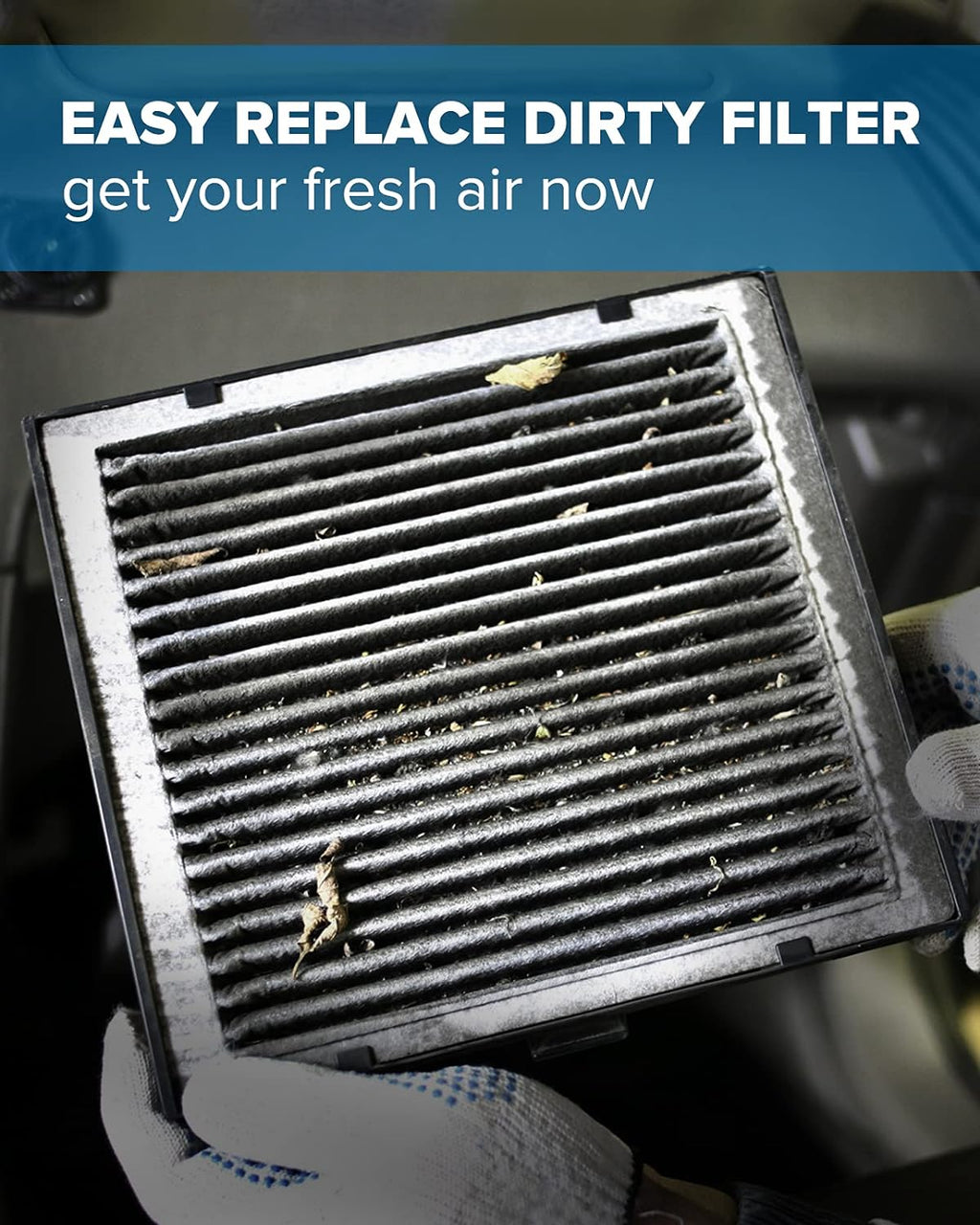 Cabin Air Filter with Activated Carbon, Pack of 2 R1115