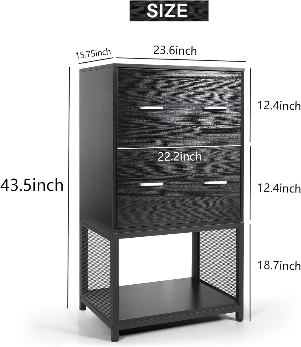 2 Drawer File Cabinet with Metal Wire Storage Shelves I109