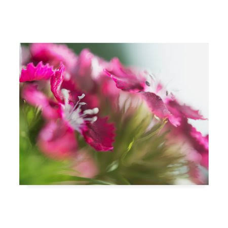 Canvas Art 18x24 V581836