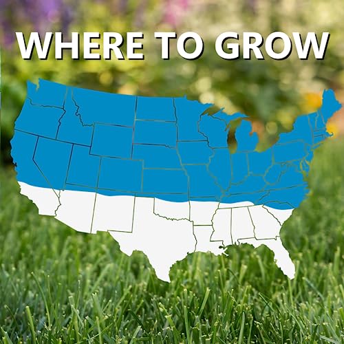 Blue Panther Kentucky Bluegrass Grass Seed (25 lb) K741