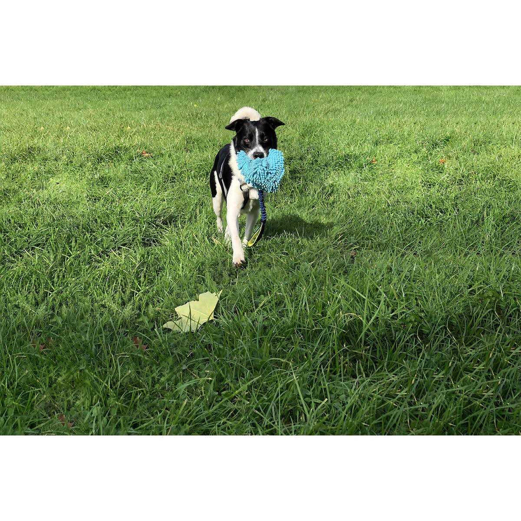 Dog Toy L70852