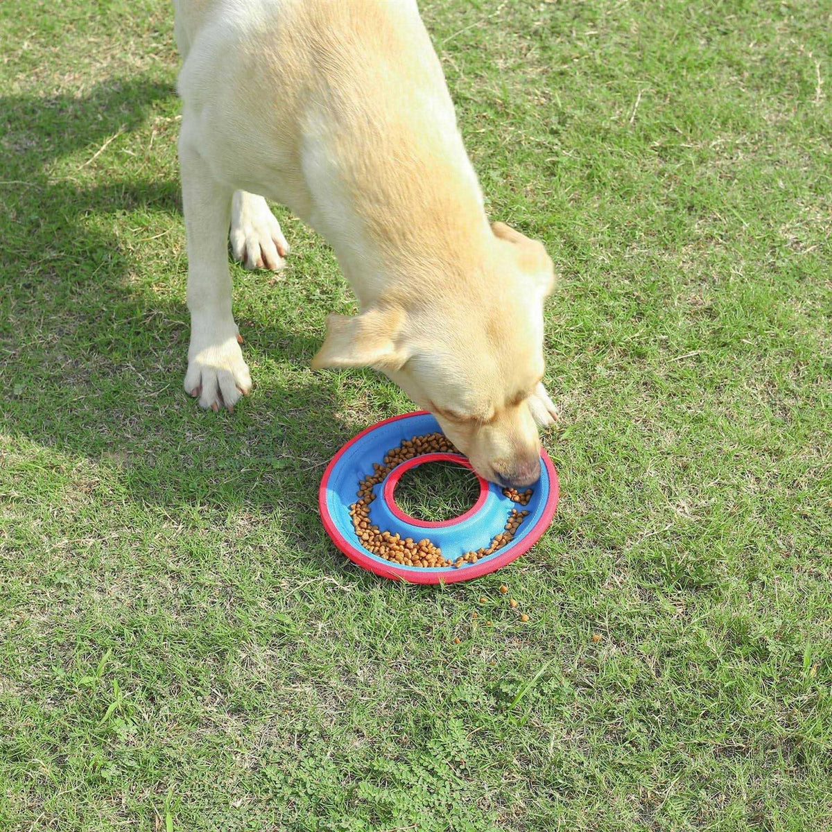Floating Water Bite Resistance Disc Bowl D743