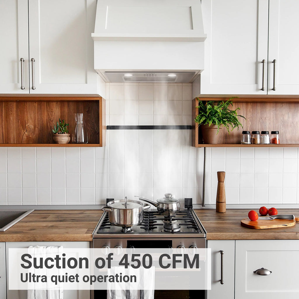 20 inch 450 CFM Stainless Steel Insert Range Hood M509
