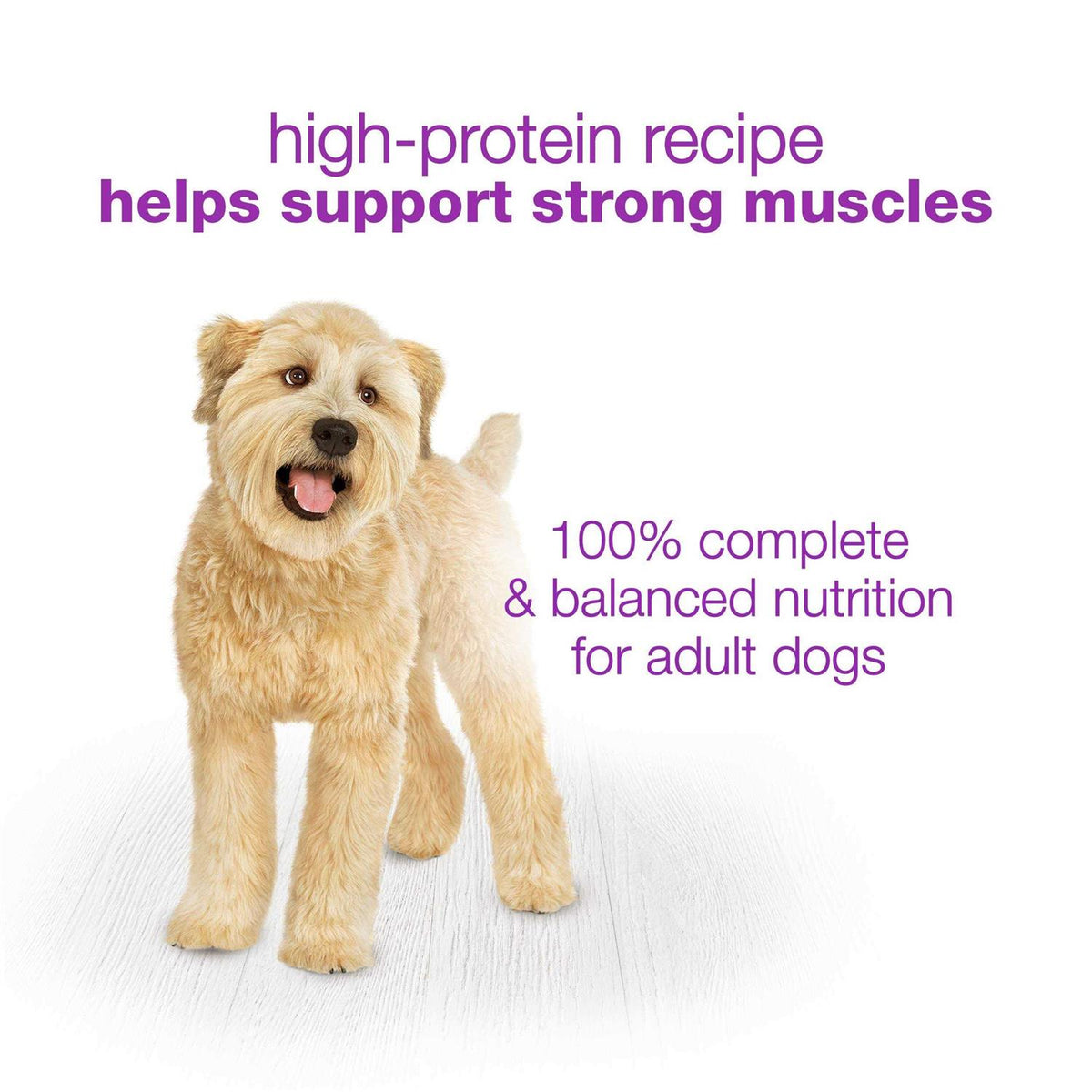 Wet Dog Food Q503