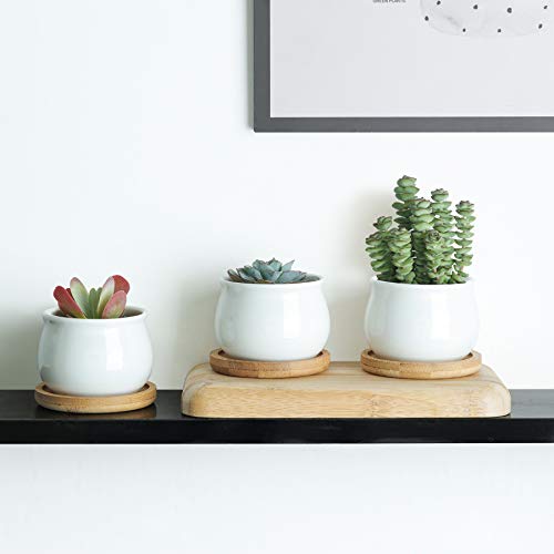 White Ceramic Mini Succulent Pots with Bamboo Trays Set of 6 Q783
