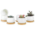White Ceramic Mini Succulent Pots with Bamboo Trays Set of 6 Q783