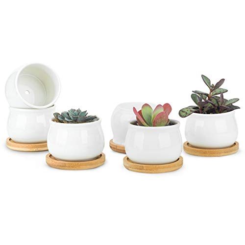 White Ceramic Mini Succulent Pots with Bamboo Trays Set of 6 Q783