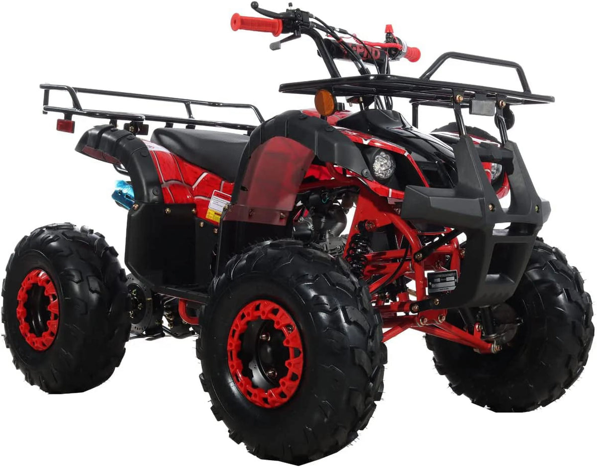 125cc Gas ATV Automatic Transmission with Reverse L91396