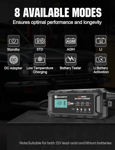 10A 12V Lifepo4 Battery Charger Z68138