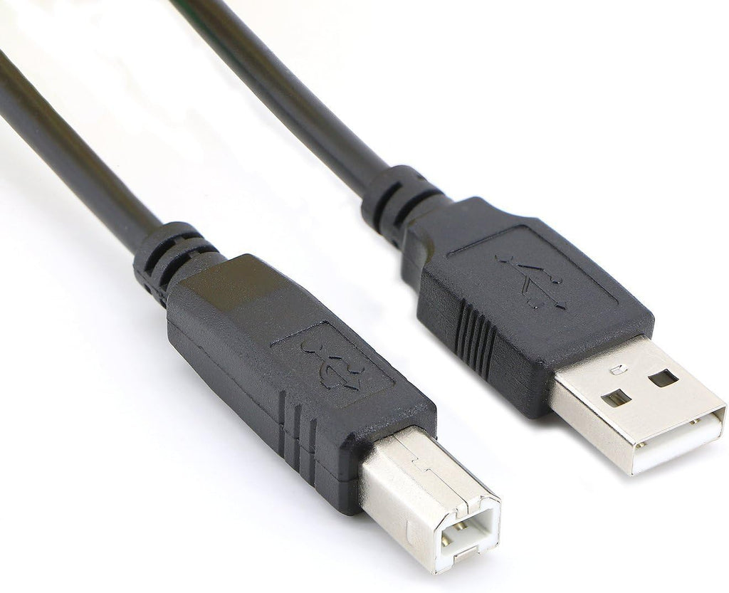 USB 2.0 Cable A Male to B Male (100 Feet) Pack of 2 L616842