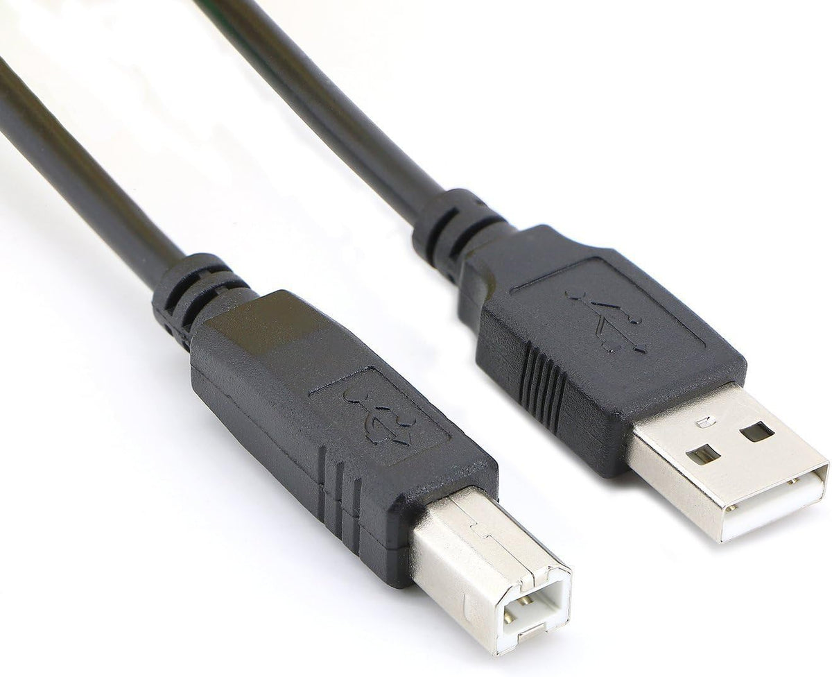 USB 2.0 Cable A Male to B Male (100 Feet) Pack of 2 L616842
