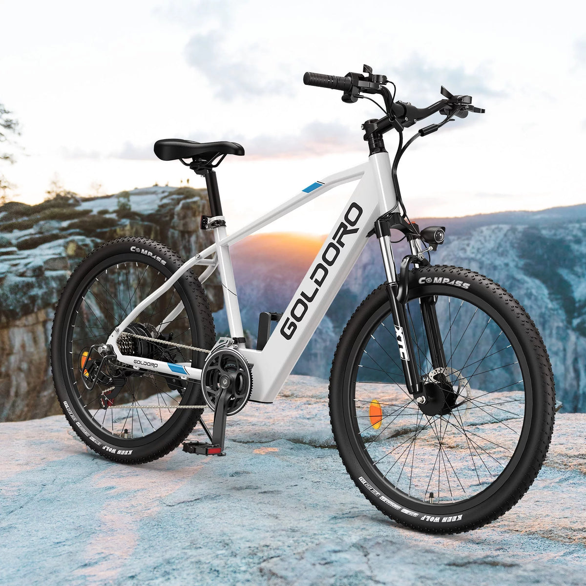 Electric Bike 26" Aluminum Alloy Mountain Bike 250W 21 Speed F503020