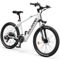 Electric Bike 26" Aluminum Alloy Mountain Bike 250W 21 Speed F503020