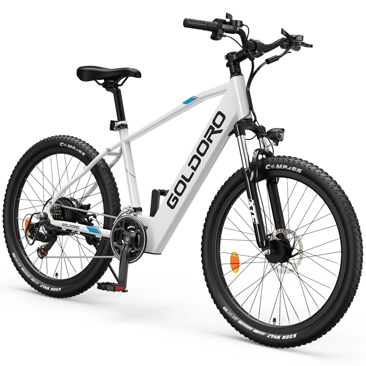 Electric Bike 26" Aluminum Alloy Mountain Bike 250W 21 Speed F503020