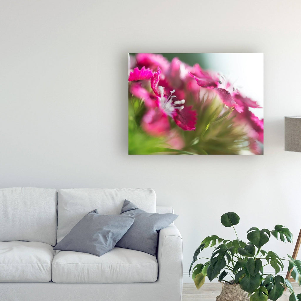 Canvas Art 18x24 V581836