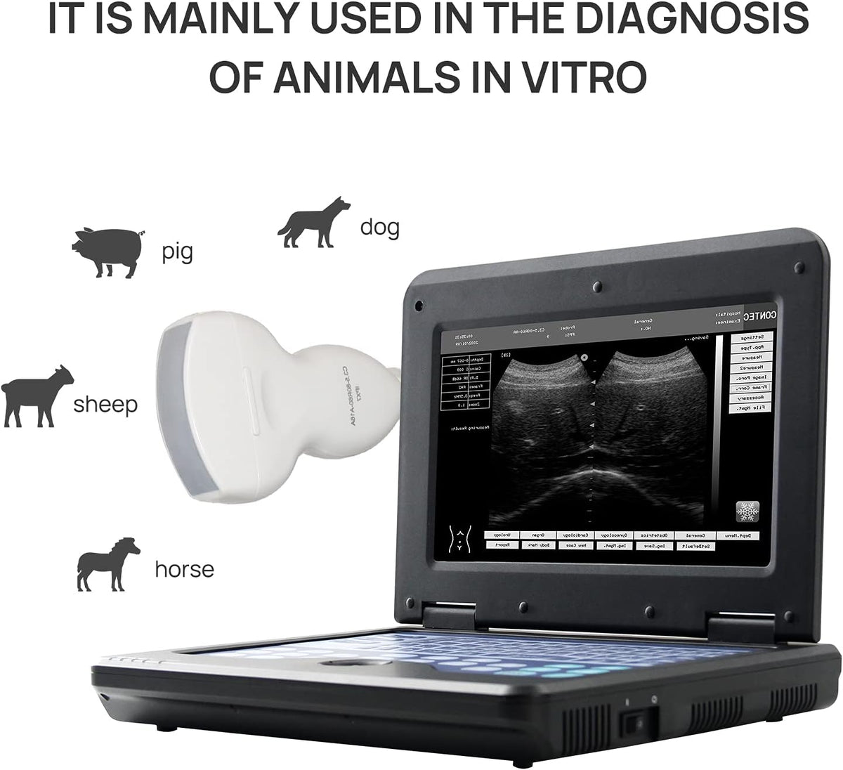 Veterinary Ultrasound Scanner with Convex and Rectal Linear Probe L361851