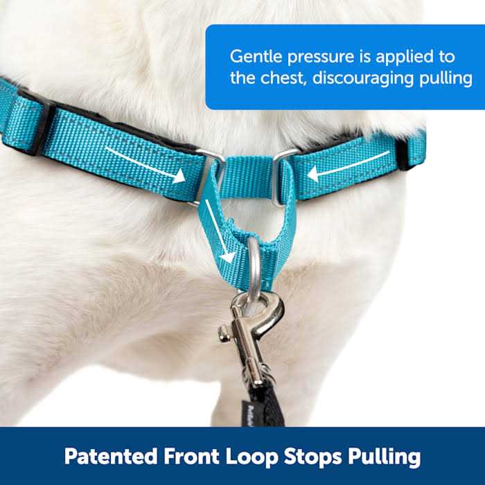Easy Walk Harness Y483