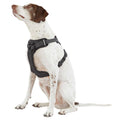 Ultra-Reflective Dog Harness N207