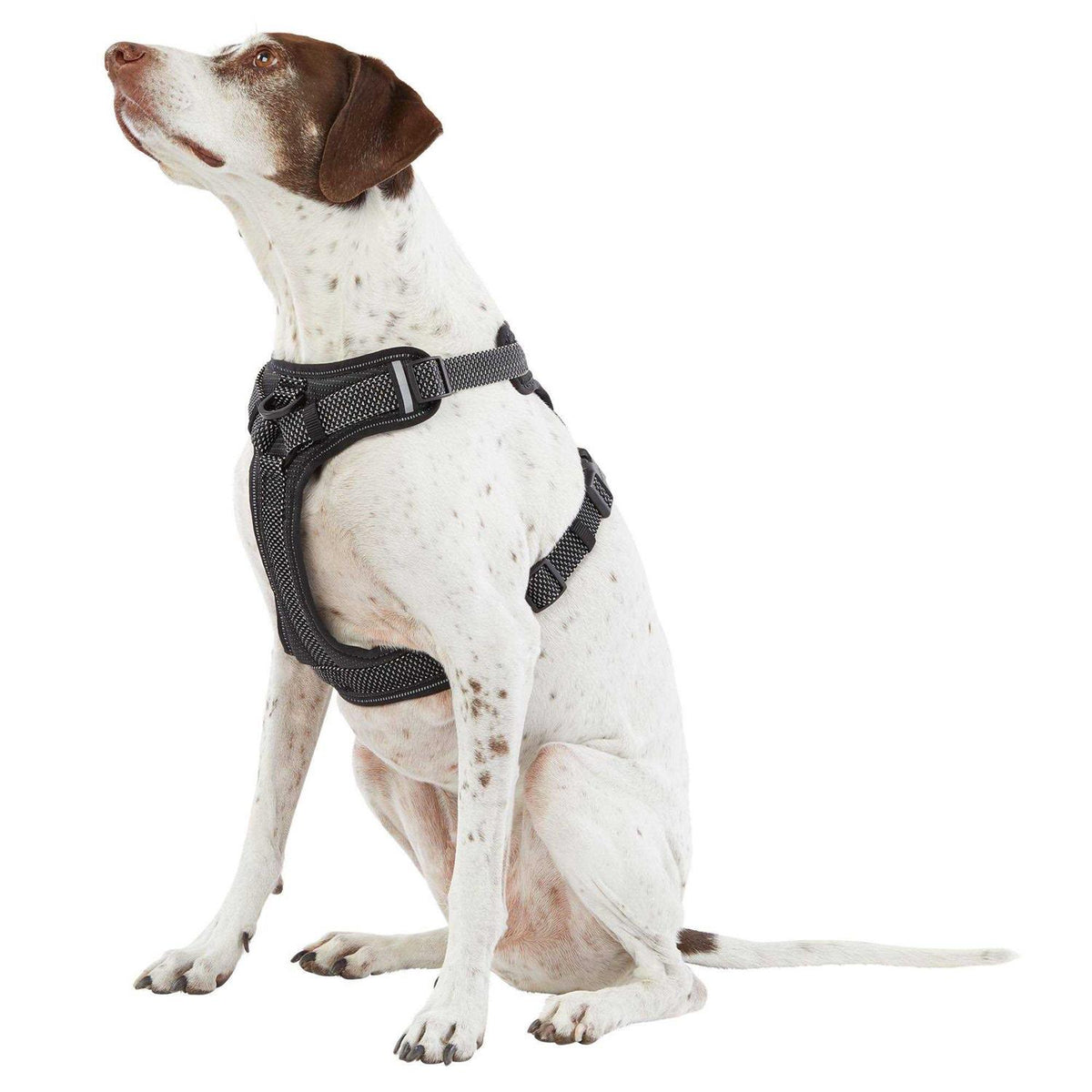 Ultra-Reflective Dog Harness N207