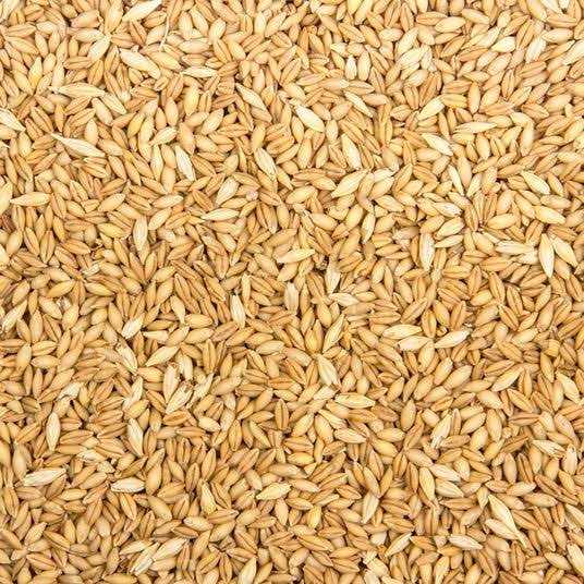 Organic Whole Barley Animal Feed V27050