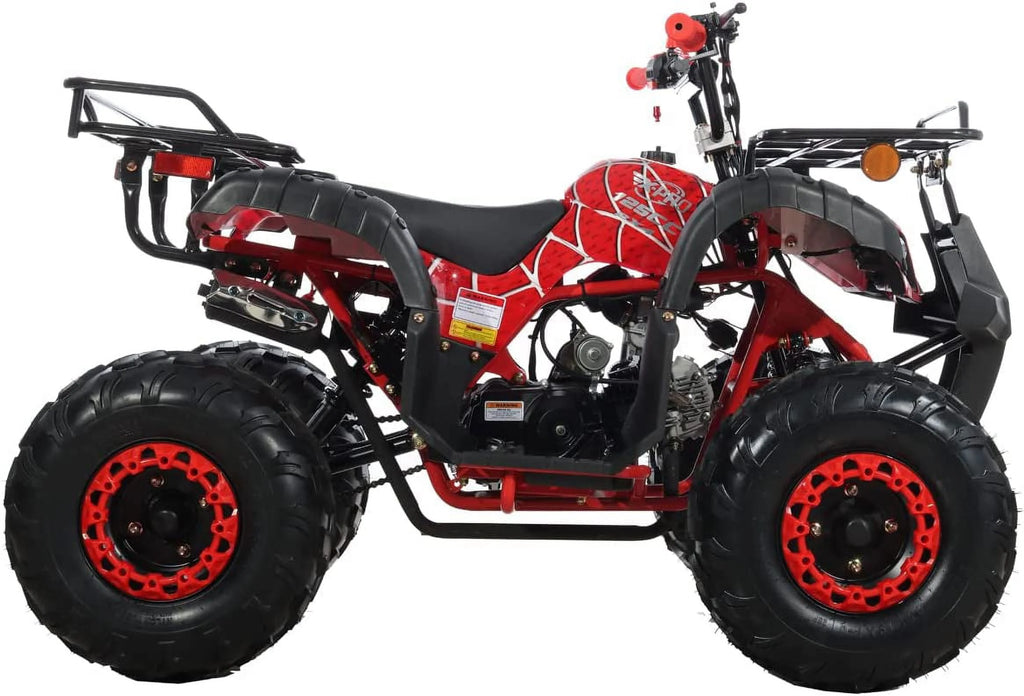 125cc Gas ATV Automatic Transmission with Reverse L91396