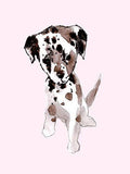 Canvas Art I9646