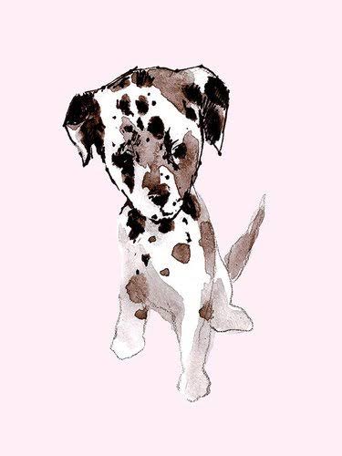Canvas Art I9646