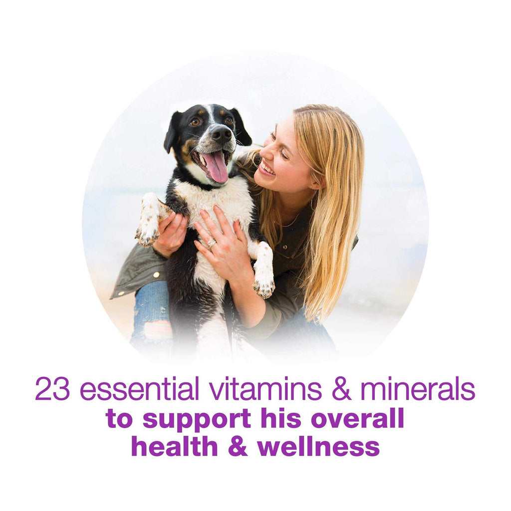 Wet Dog Food Q503