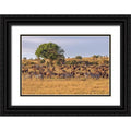 18x13 Black Ornate Wood Framed Art Print S4734