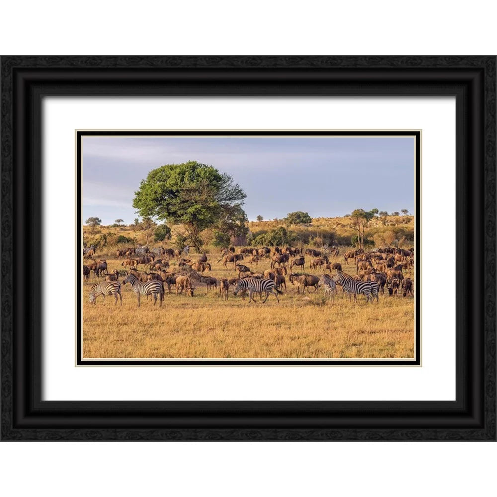18x13 Black Ornate Wood Framed Art Print S4734