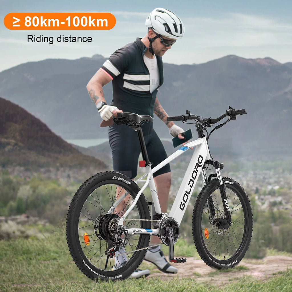 Electric Bike 26" Aluminum Alloy Mountain Bike 250W 21 Speed F503020