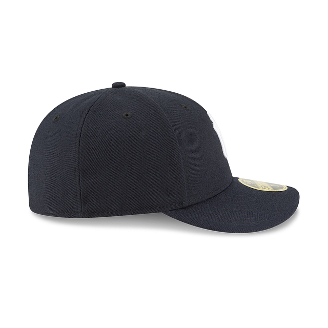 Low Profile Fitted Hat Y223012