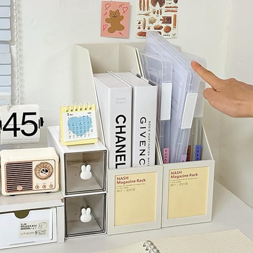 Clear A4 Plastic File Storage Box X600