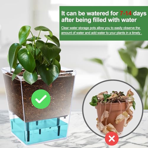 3 Pack 2.7 Inch Self Watering Planter Pot E9629