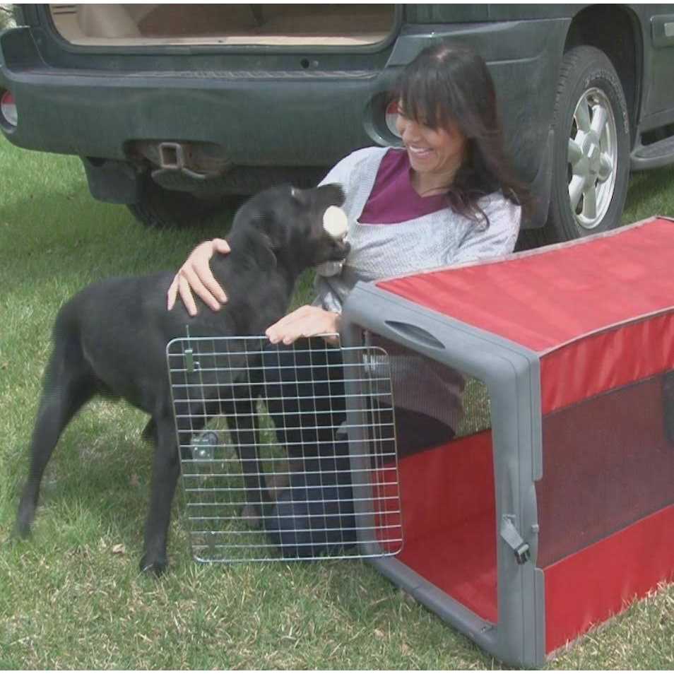 Pop up Travel Crate C1291