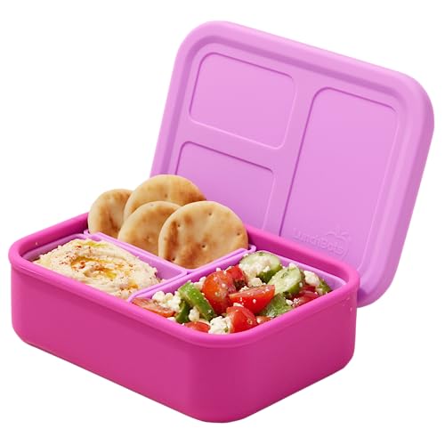 Silicone Multi-Compartment Lunch Box C189