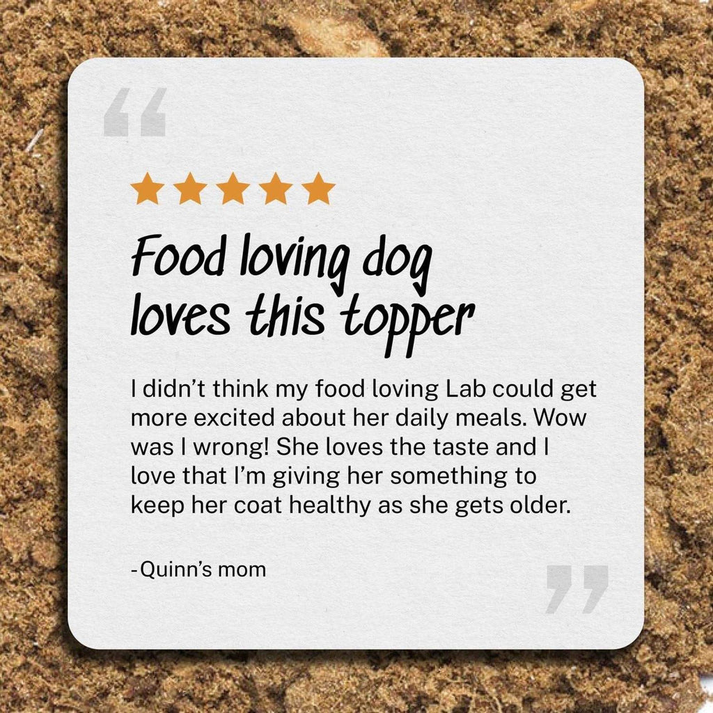Beef Dog Food J432735