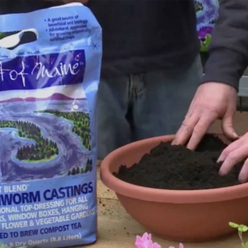 8 Quart Bag (6 Pack) Potting Soil F554783