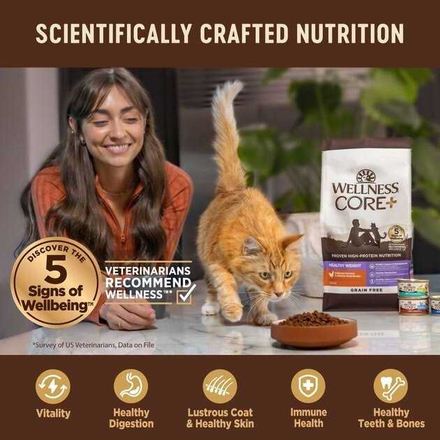 Chicken & Turkey Pate Variety Pack Wet Cat Food Q19473