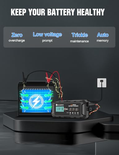 10A 12V Lifepo4 Battery Charger Z68138