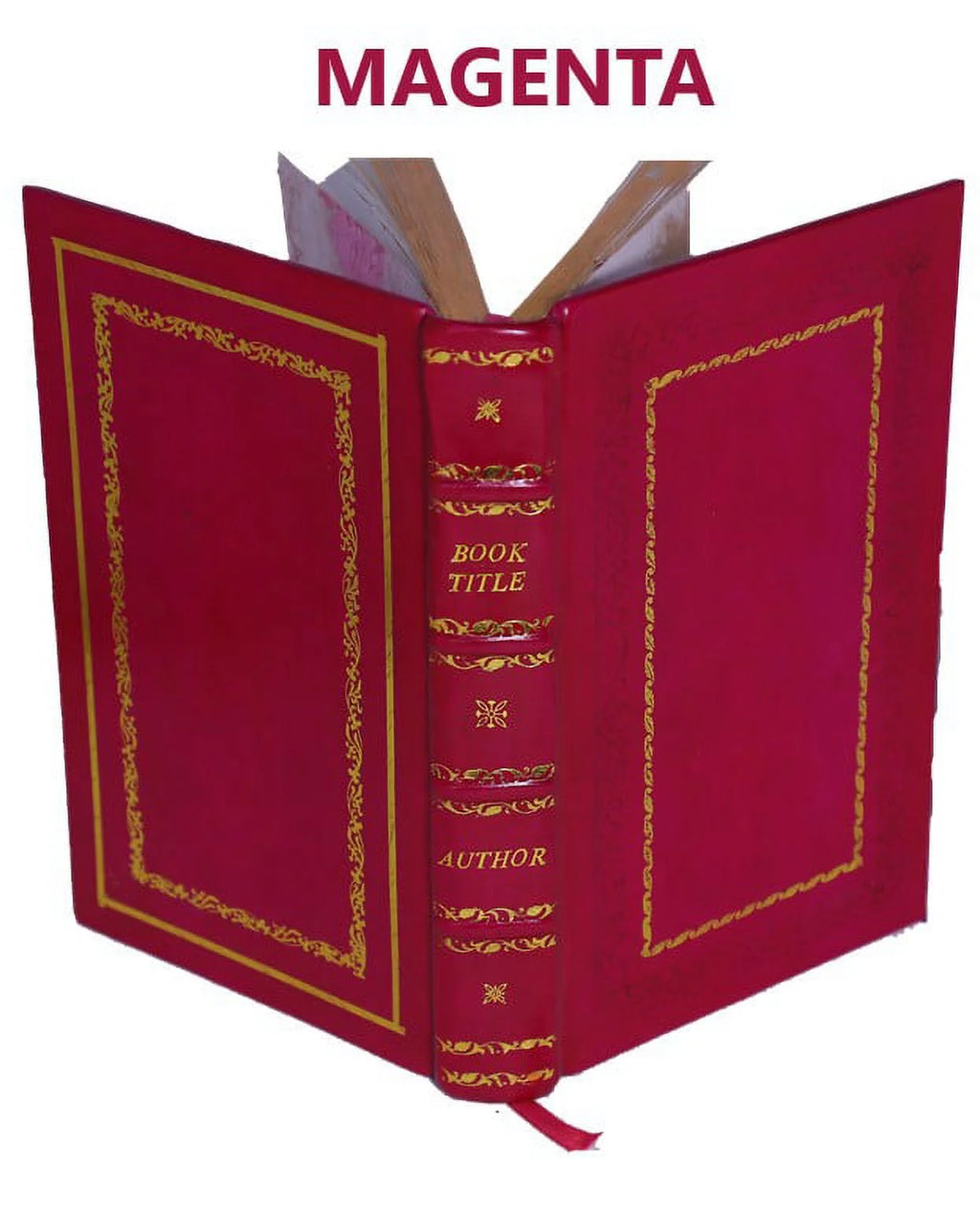 La bible d'Amiens 1910 M389540