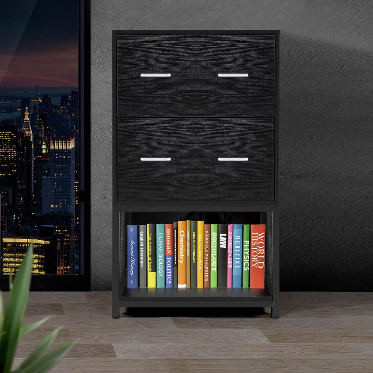 2 Drawer File Cabinet with Metal Wire Storage Shelves I109