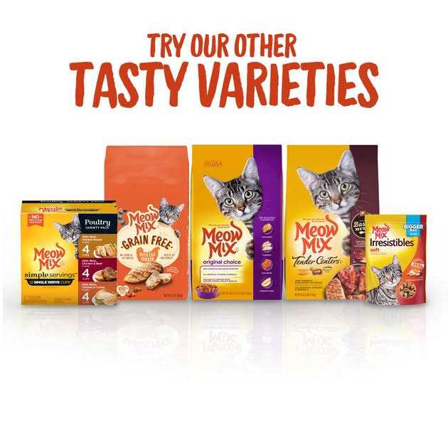 Cat Treats Soft V6129