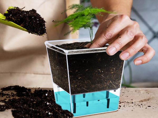 3 Pack 2.7 Inch Self Watering Planter Pot E9629