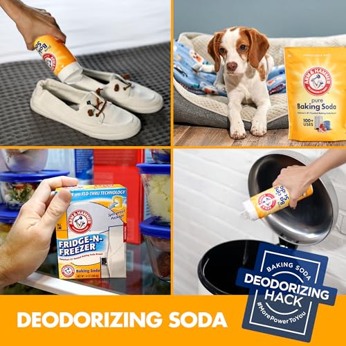 1 Pound Pack of 12 Baking Soda H3922