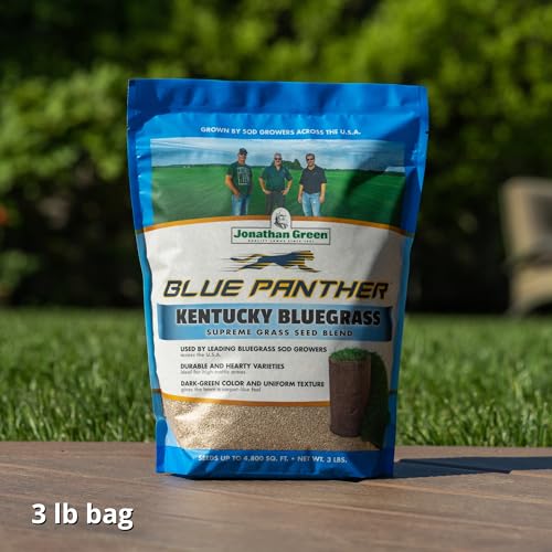 Blue Panther Kentucky Bluegrass Grass Seed (25 lb) K741