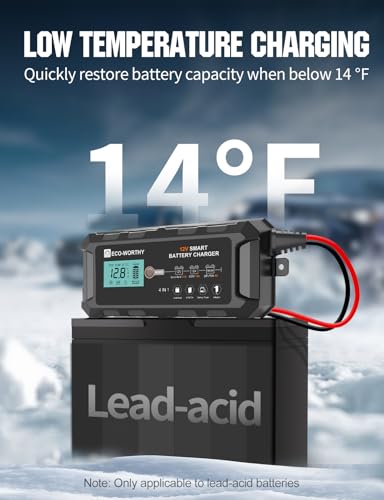 10A 12V Lifepo4 Battery Charger Z68138